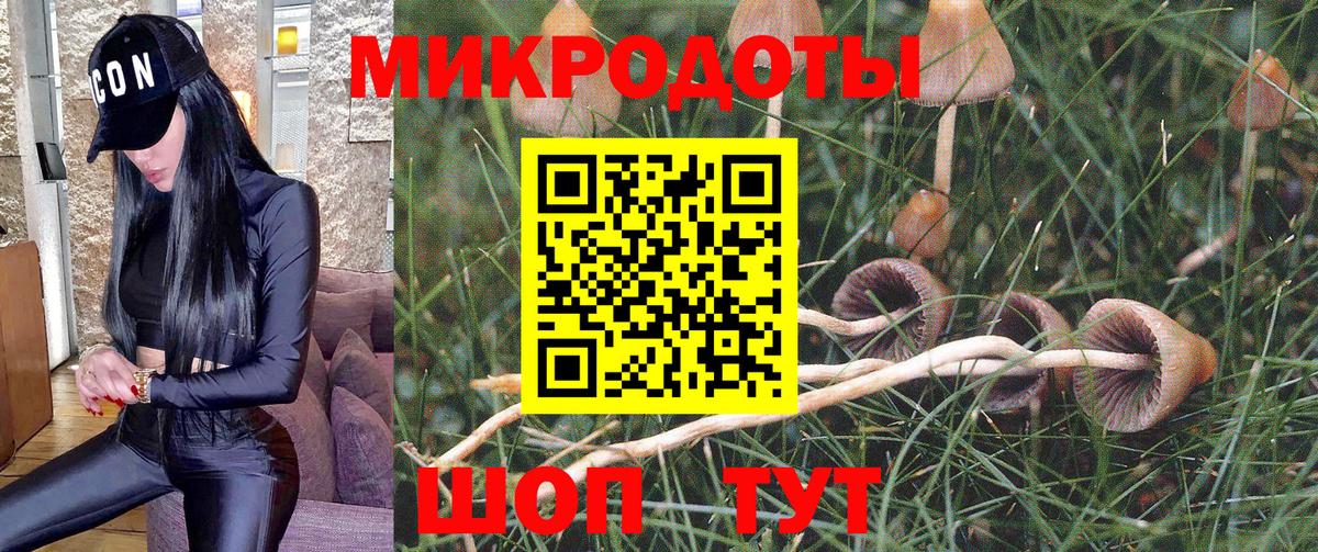 Псилоцибиновые грибы прущие грибы  Галлюциногенные грибы Psilocybine cubensis  Серпухов  Вход с VPN 